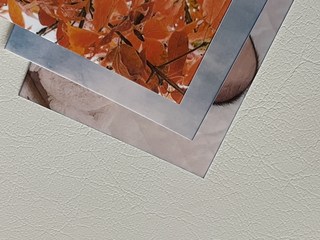 포토프린터 이미지 3